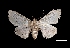 ( - MAL-03304)  @13 [ ] Unspecified (default): All Rights Reserved  Unspecified Unspecified