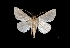  ( - MAL-03220)  @13 [ ] Unspecified (default): All Rights Reserved  Unspecified Unspecified