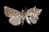  ( - MAL-03234)  @13 [ ] Unspecified (default): All Rights Reserved  Unspecified Unspecified
