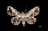  ( - MAL-03238)  @14 [ ] Unspecified (default): All Rights Reserved  Unspecified Unspecified