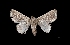  ( - MAL-03239)  @12 [ ] Unspecified (default): All Rights Reserved  Unspecified Unspecified