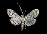  ( - MAL-03201)  @11 [ ] Unspecified (default): All Rights Reserved  Unspecified Unspecified