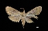  ( - MAL-03208)  @13 [ ] Unspecified (default): All Rights Reserved  Unspecified Unspecified