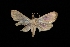  ( - MAL-03208)  @13 [ ] Unspecified (default): All Rights Reserved  Unspecified Unspecified