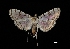  ( - MAL-03231)  @13 [ ] Unspecified (default): All Rights Reserved  Unspecified Unspecified