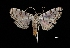  ( - MAL-03228)  @13 [ ] Unspecified (default): All Rights Reserved  Unspecified Unspecified