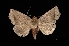  ( - MAL-03175)  @14 [ ] Unspecified (default): All Rights Reserved  Unspecified Unspecified