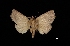  ( - MAL-03175)  @13 [ ] Unspecified (default): All Rights Reserved  Unspecified Unspecified