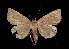 ( - MAL-03177)  @11 [ ] Unspecified (default): All Rights Reserved  Unspecified Unspecified