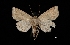  ( - MAL-03177)  @11 [ ] Unspecified (default): All Rights Reserved  Unspecified Unspecified
