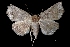  ( - MAL-03123)  @13 [ ] Unspecified (default): All Rights Reserved  Unspecified Unspecified