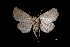  ( - MAL-03123)  @13 [ ] Unspecified (default): All Rights Reserved  Unspecified Unspecified