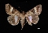  ( - MAL-03185)  @11 [ ] Unspecified (default): All Rights Reserved  Unspecified Unspecified