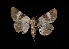  ( - MAL-03185)  @11 [ ] Unspecified (default): All Rights Reserved  Unspecified Unspecified