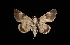  ( - MAL-03141)  @14 [ ] Unspecified (default): All Rights Reserved  Unspecified Unspecified