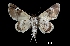  ( - MAL-03138)  @14 [ ] Unspecified (default): All Rights Reserved  Unspecified Unspecified