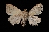 ( - MAL-03157)  @11 [ ] Unspecified (default): All Rights Reserved  Unspecified Unspecified