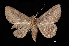  ( - MAL-03170)  @13 [ ] Unspecified (default): All Rights Reserved  Unspecified Unspecified