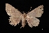  ( - MAL-03168)  @12 [ ] Unspecified (default): All Rights Reserved  Unspecified Unspecified
