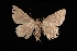  ( - MAL-03168)  @12 [ ] Unspecified (default): All Rights Reserved  Unspecified Unspecified