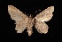  ( - MAL-03169)  @12 [ ] Unspecified (default): All Rights Reserved  Unspecified Unspecified