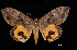 ( - MAL-03251)  @13 [ ] Unspecified (default): All Rights Reserved  Unspecified Unspecified
