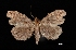  ( - MAL-03411)  @13 [ ] Unspecified (default): All Rights Reserved  Unspecified Unspecified