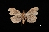  ( - MAL-03411)  @13 [ ] Unspecified (default): All Rights Reserved  Unspecified Unspecified