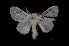  ( - MAL-03482)  @13 [ ] Unspecified (default): All Rights Reserved  Unspecified Unspecified
