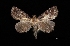  ( - MAL-03413)  @13 [ ] Unspecified (default): All Rights Reserved  Unspecified Unspecified