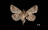  ( - MAL-03413)  @13 [ ] Unspecified (default): All Rights Reserved  Unspecified Unspecified