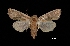  ( - MAL-03420)  @14 [ ] Unspecified (default): All Rights Reserved  Unspecified Unspecified