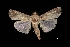  ( - MAL-03418)  @13 [ ] Unspecified (default): All Rights Reserved  Unspecified Unspecified