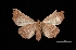  ( - MAL-03479)  @12 [ ] Unspecified (default): All Rights Reserved  Unspecified Unspecified