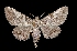  ( - MAL-03453)  @14 [ ] Unspecified (default): All Rights Reserved  Unspecified Unspecified