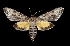  ( - MAL-03405)  @14 [ ] Unspecified (default): All Rights Reserved  Unspecified Unspecified