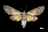  ( - MAL-03405)  @13 [ ] Unspecified (default): All Rights Reserved  Unspecified Unspecified