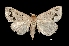  ( - MAL-01652)  @13 [ ] Unspecified (default): All Rights Reserved  Unspecified Unspecified