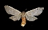  ( - MAL-01716)  @14 [ ] Unspecified (default): All Rights Reserved  Unspecified Unspecified