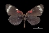  ( - MAL-01746)  @13 [ ] Unspecified (default): All Rights Reserved  Unspecified Unspecified