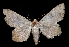  ( - MAL-01751)  @12 [ ] Unspecified (default): All Rights Reserved  Unspecified Unspecified