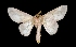  ( - MAL-01754)  @13 [ ] Unspecified (default): All Rights Reserved  Unspecified Unspecified