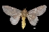  ( - MAL-01755)  @13 [ ] Unspecified (default): All Rights Reserved  Unspecified Unspecified