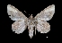 ( - MAL-01760)  @12 [ ] Unspecified (default): All Rights Reserved  Unspecified Unspecified