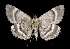  ( - MAL-01772)  @13 [ ] Unspecified (default): All Rights Reserved  Unspecified Unspecified