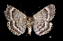  ( - MAL-01773)  @13 [ ] Unspecified (default): All Rights Reserved  Unspecified Unspecified