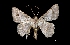  ( - MAL-01777)  @14 [ ] Unspecified (default): All Rights Reserved  Unspecified Unspecified