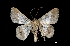  ( - MAL-01777)  @13 [ ] Unspecified (default): All Rights Reserved  Unspecified Unspecified