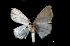  ( - MAL-01793)  @12 [ ] Unspecified (default): All Rights Reserved  Unspecified Unspecified