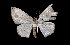  ( - MAL-01794)  @12 [ ] Unspecified (default): All Rights Reserved  Unspecified Unspecified